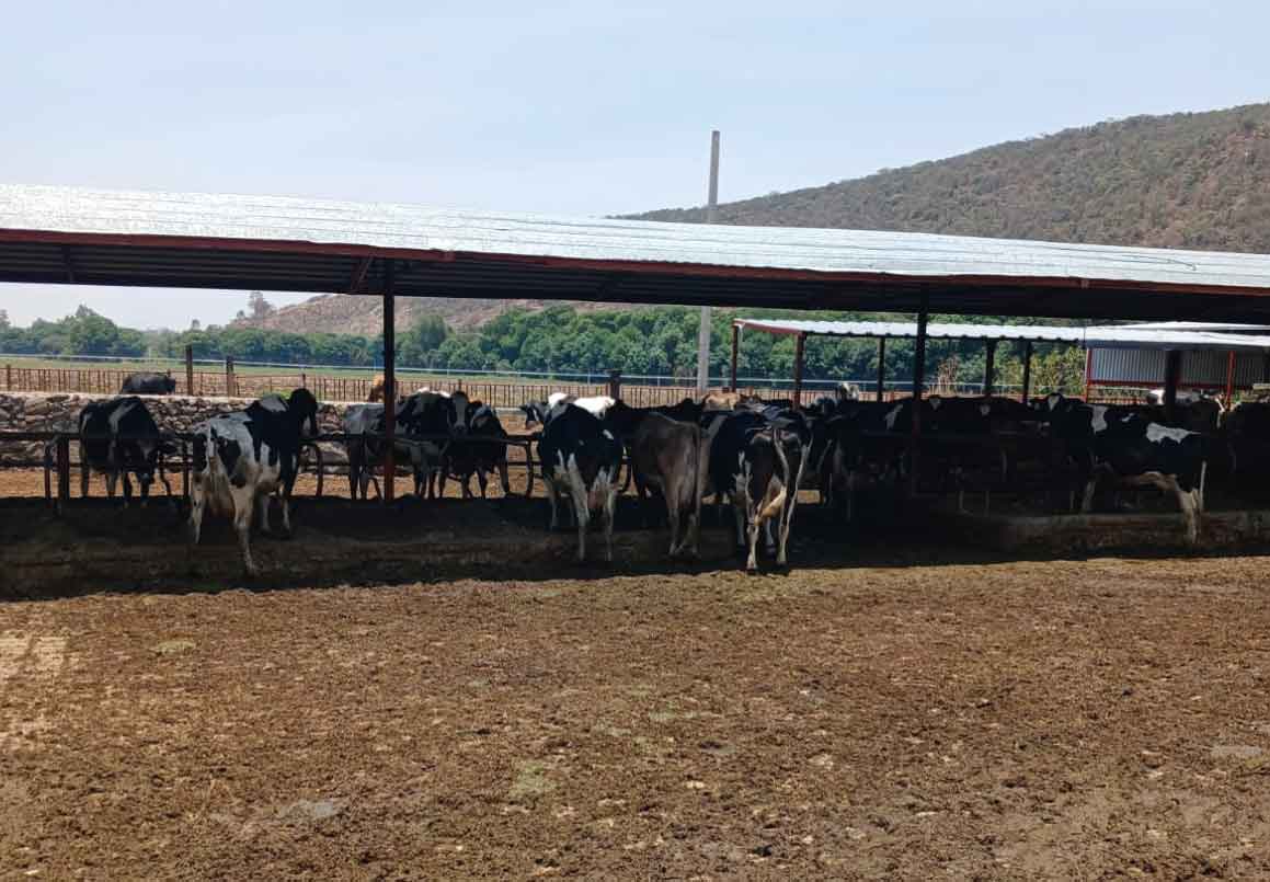 RANCHO EN VENTA EN EL VENADO, ALVARO OBREGON