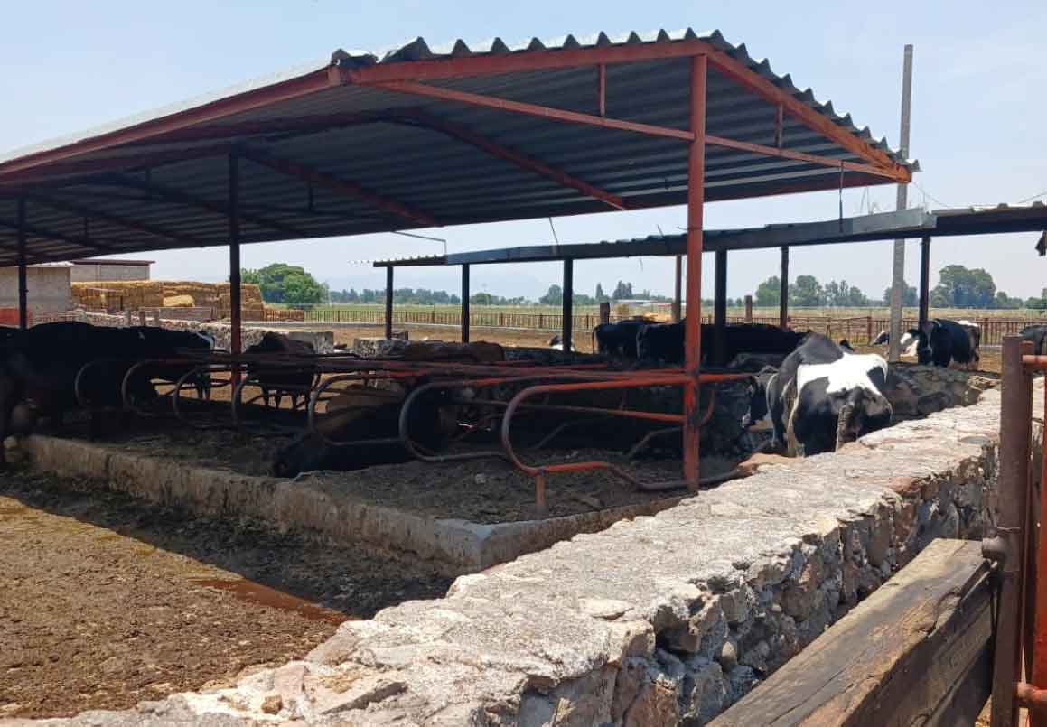 RANCHO EN VENTA EN EL VENADO, ALVARO OBREGON