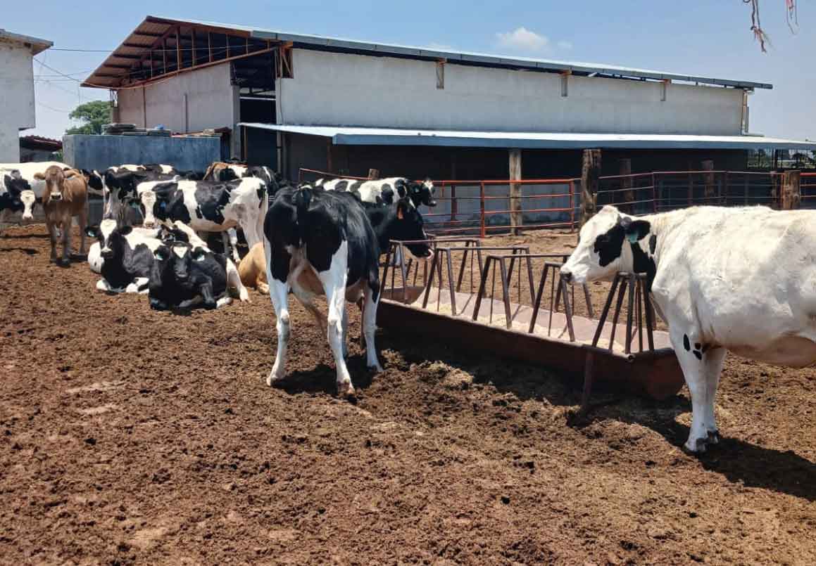 RANCHO EN VENTA EN EL VENADO, ALVARO OBREGON