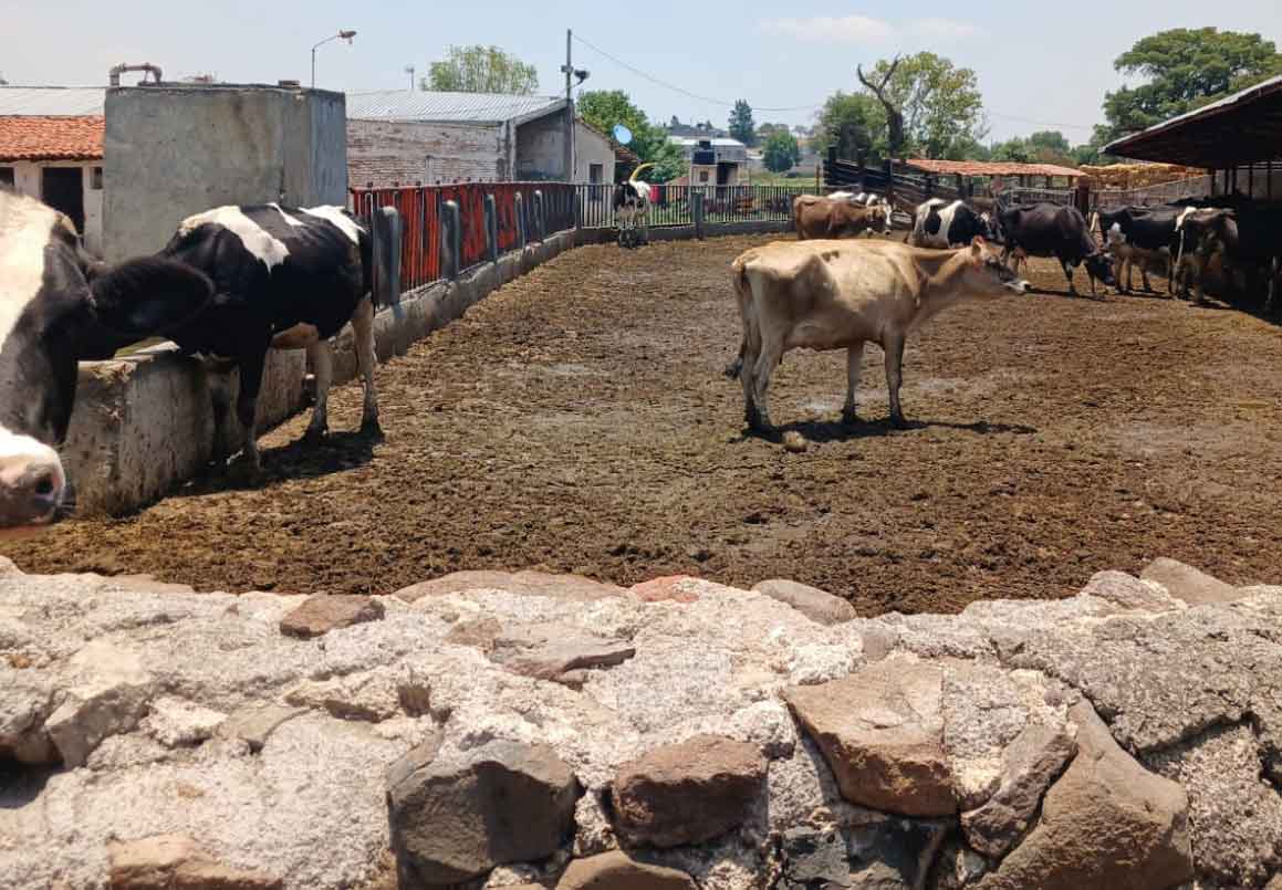 RANCHO EN VENTA EN EL VENADO, ALVARO OBREGON