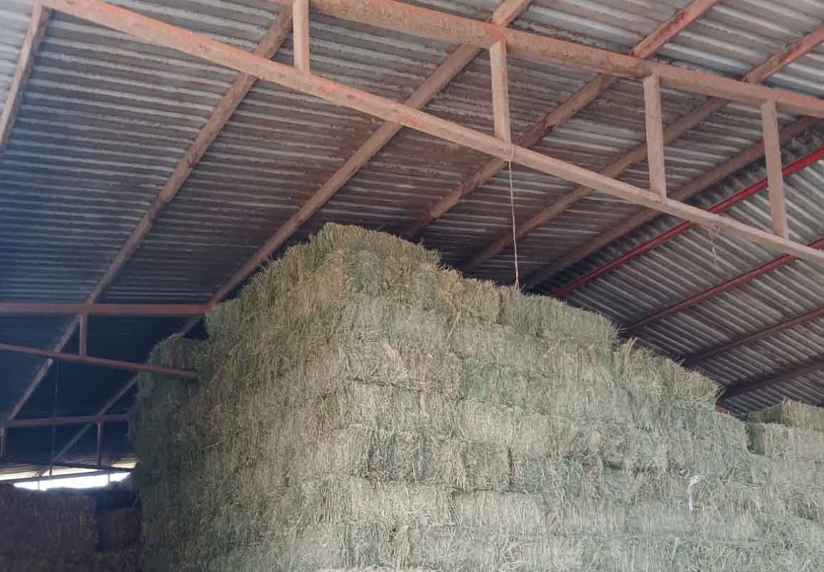 RANCHO EN VENTA EN EL VENADO, ALVARO OBREGON