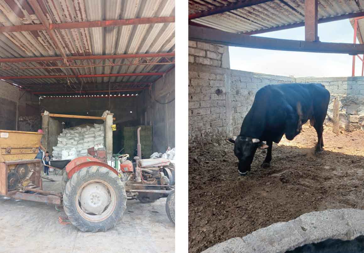 RANCHO EN VENTA EN EL VENADO, ALVARO OBREGON