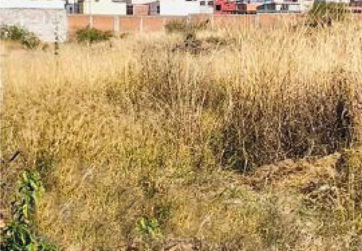 TERRENO EN VENTA EN COLONIA TINIJARO, MORELIA