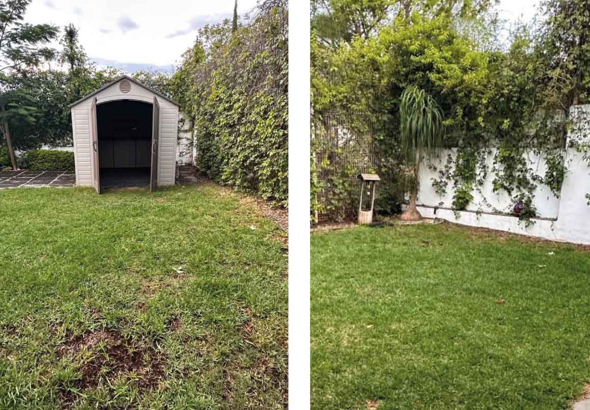 CASA EN RENTA EN BOSQUES TRES MARIAS, MORELIA