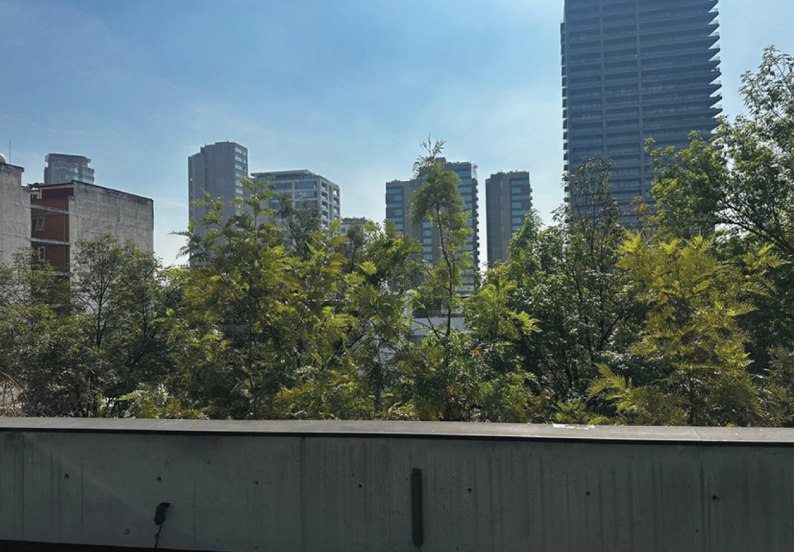 DEPARTAMENTO EN VENTA EN POLANCO, MIGUEL HIDALGO, CDMX