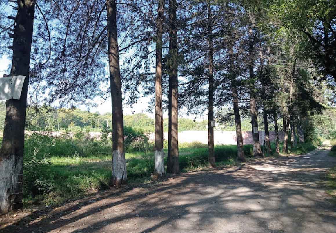 TERRENO EN VENTA EN LA CARRETERA MORELIA - COINTZIO