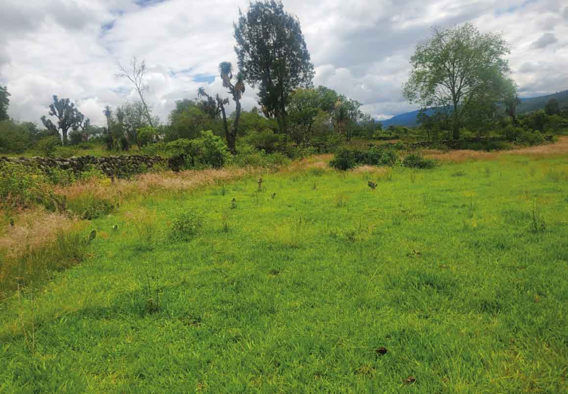 TERRENO EN VENTA SOBRE LA CARRETERA MORELIA - PATZCUARO