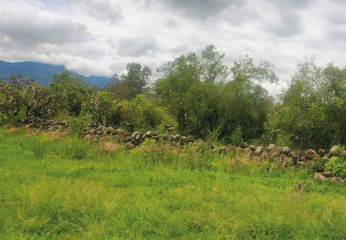 TERRENO EN VENTA SOBRE LA CARRETERA MORELIA - PATZCUARO