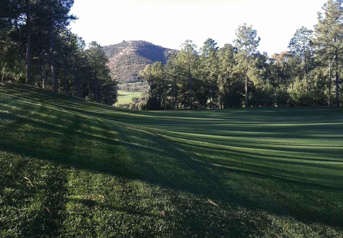 TERRENO EN VENTA EN CLUB Y DENTRO DEL CAMPO DE GOLF ALTOZANO, MORELIA