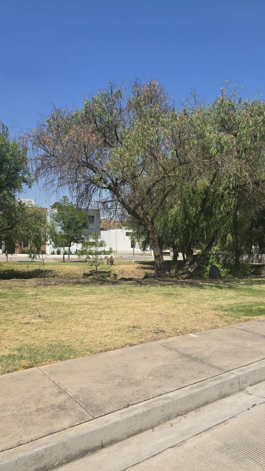 TERRENO EN VENTA EN PASEO DEL PARQUE TRES MARIAS, MORELIA