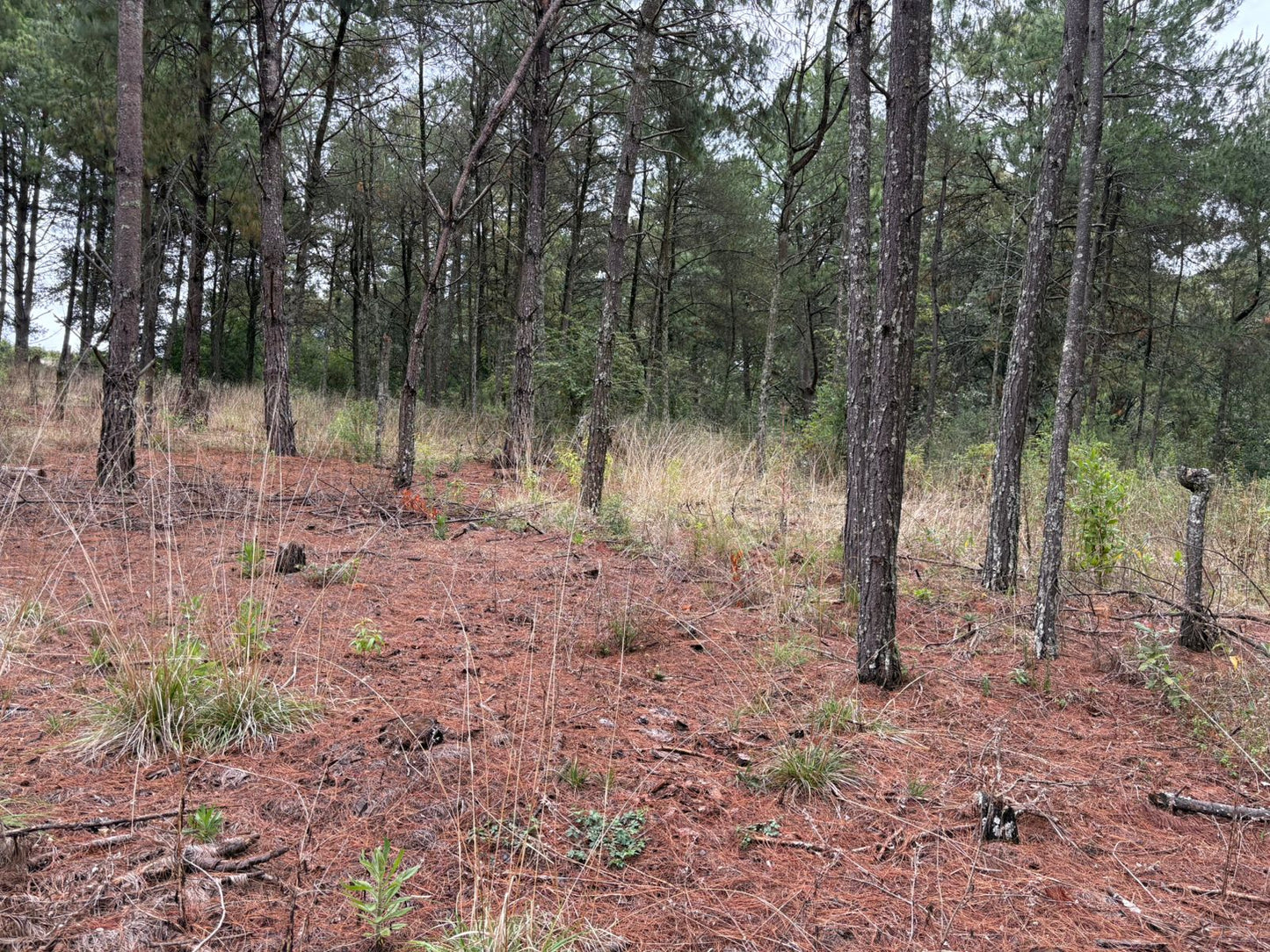 TERRENO EN VENTA EN ZIRAHUEN, MICHOACAN