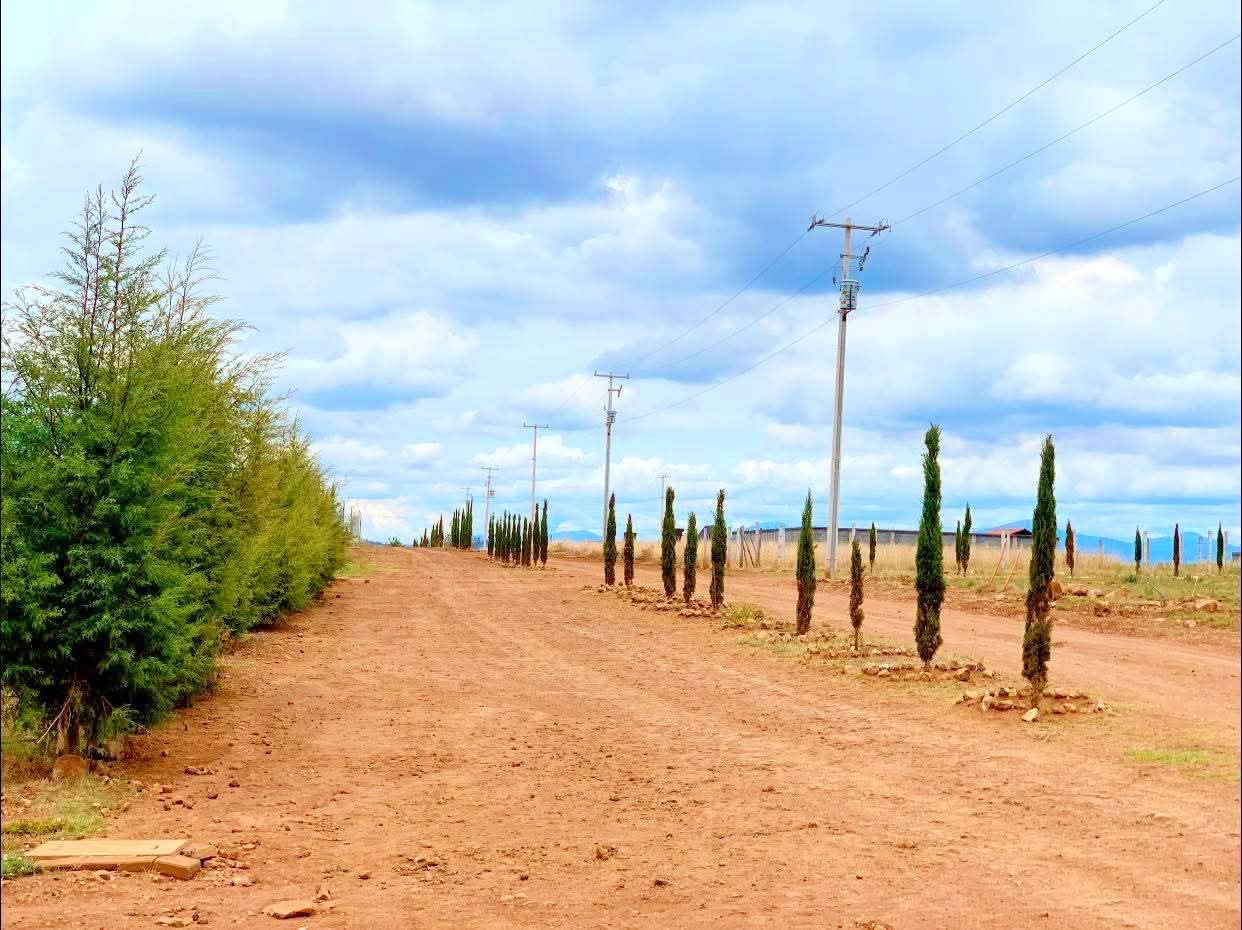 CABAÑA EN VENTA EN PATZCUARO, MICHOACAN