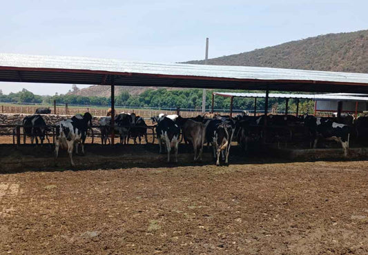 RANCHO EN VENTA EN EL VENADO, ALVARO OBREGON