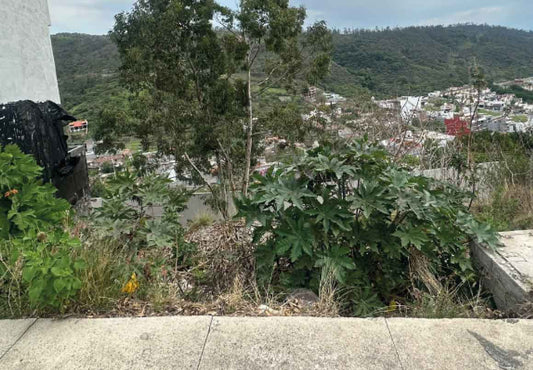 TERRENO EN VENTA EN LINDAVISTA TRES MARIAS, MORELIA.