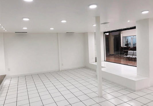 LOCALES COMERCIALES EN VENTA/RENTA EN PLAZA COMERCIAL, MORELIA