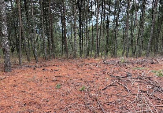 TERRENO EN VENTA EN ZIRAHUEN, MICHOACAN