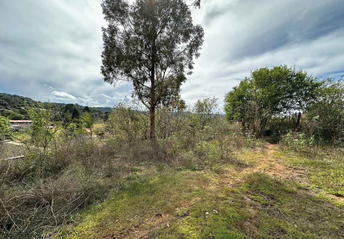 TERRENO EN VENTA EN SAN JOSE DE LAS TORRES, MORELIA