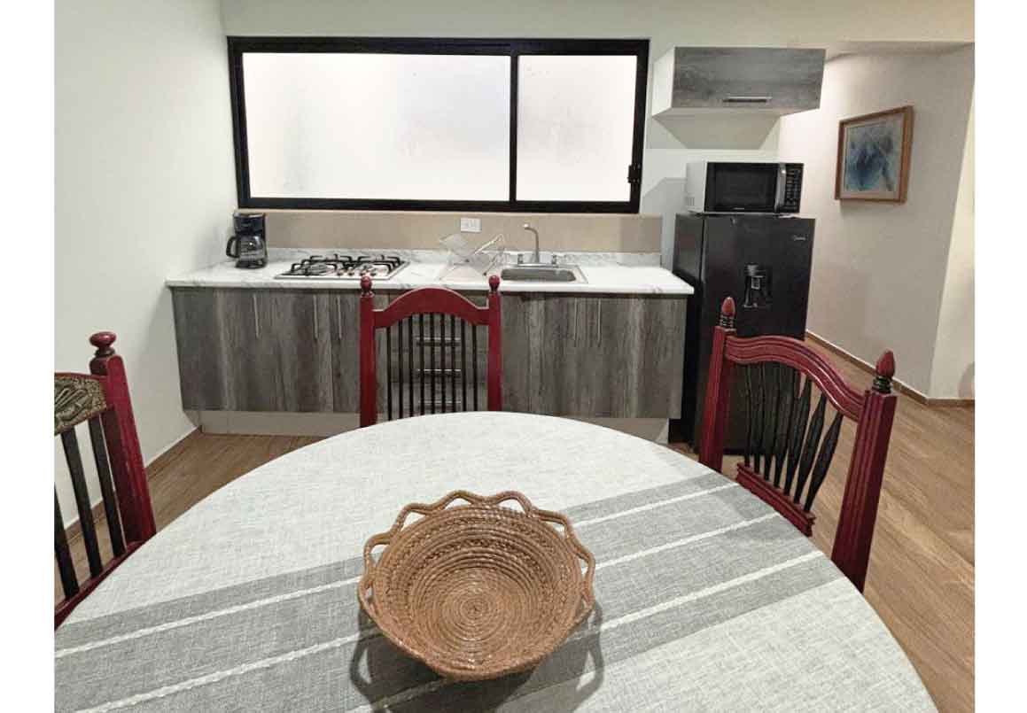 DEPARTAMENTO AMUEBLADO EN RENTA EN LAS AMERICAS, MORELIA