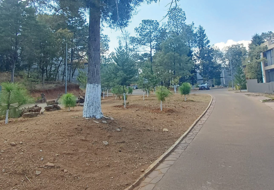 TERRENO EN VENTA EN BOSQUE MONARCA ALTOZANO, MORELIA