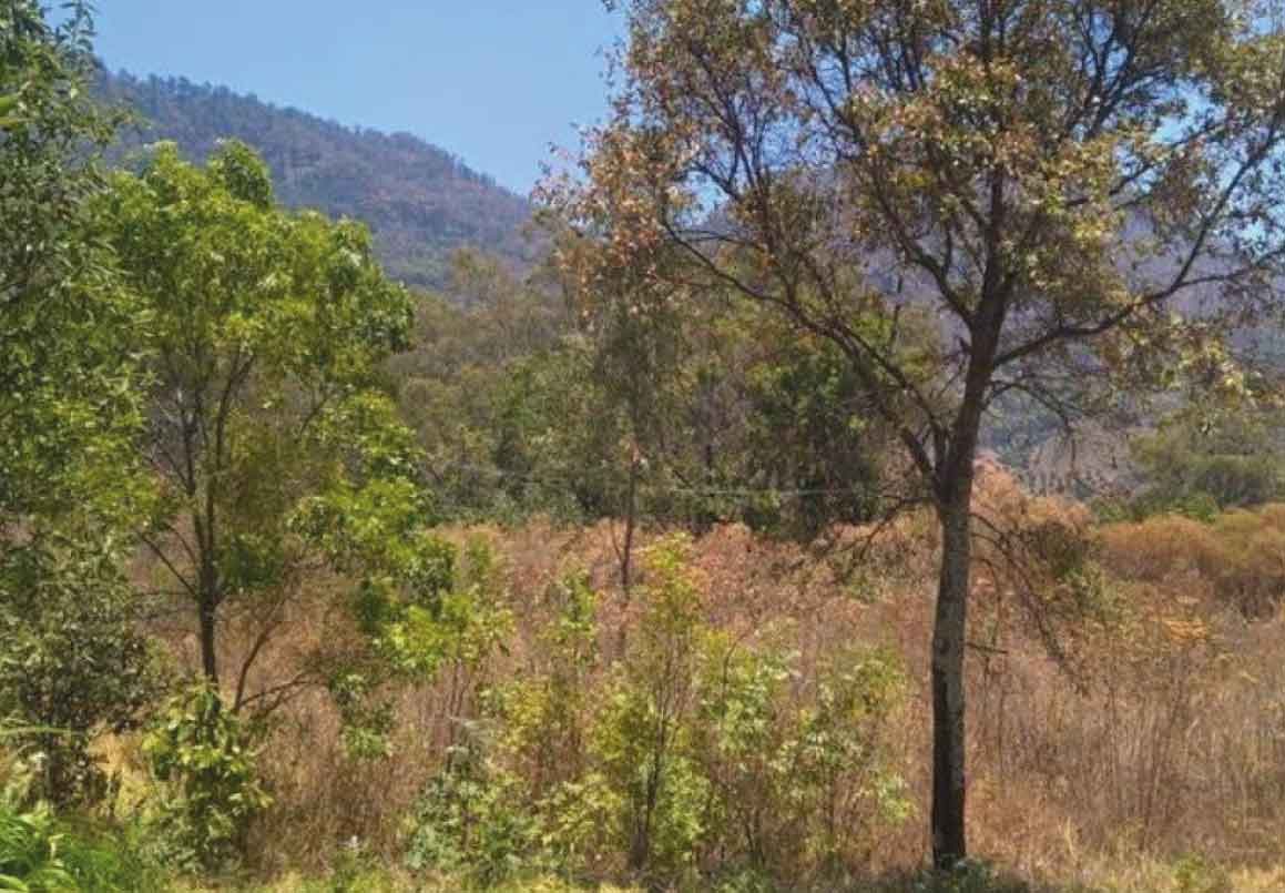 TERRENO/PARCELA EN VENTA CERCA DE LA AUTOPISTA MORELIA - TOLUCA