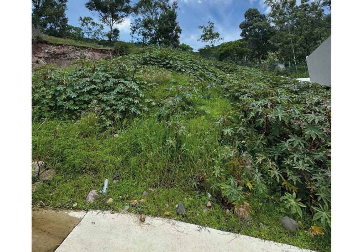 TERRENO EN VENTA EN ARBOLEDAS TRES MARIAS, MORELIA