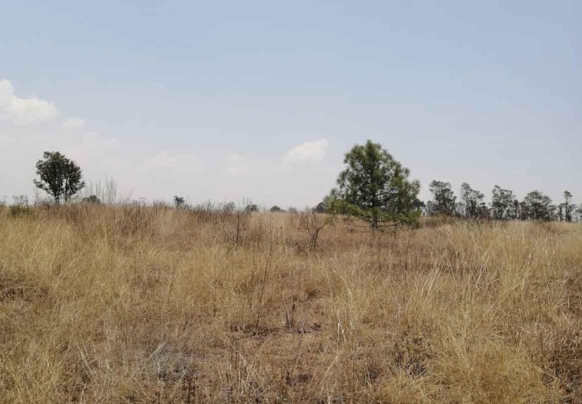 TERRENO EN VENTA JESÚS DEL MONTE, MORELIA