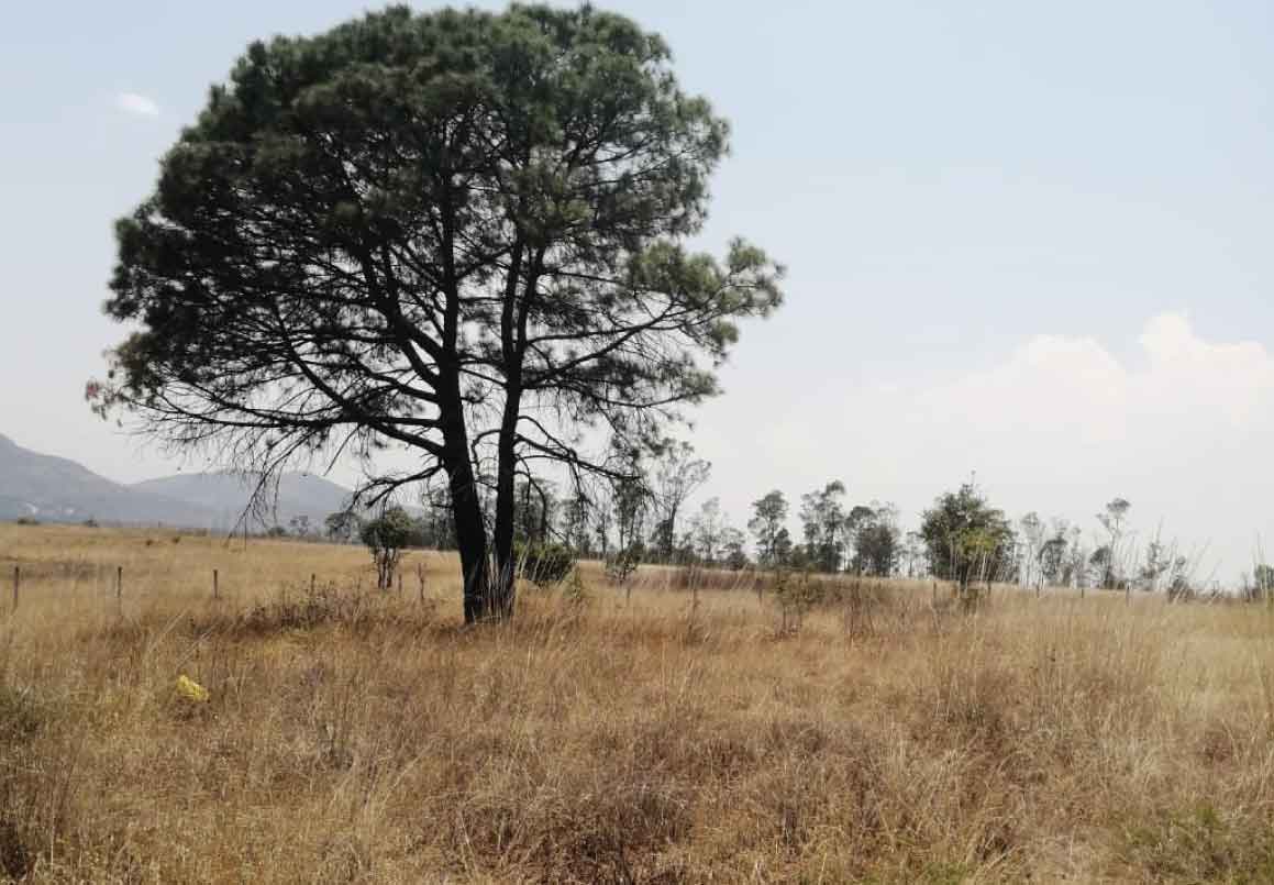 TERRENO EN VENTA JESÚS DEL MONTE, MORELIA