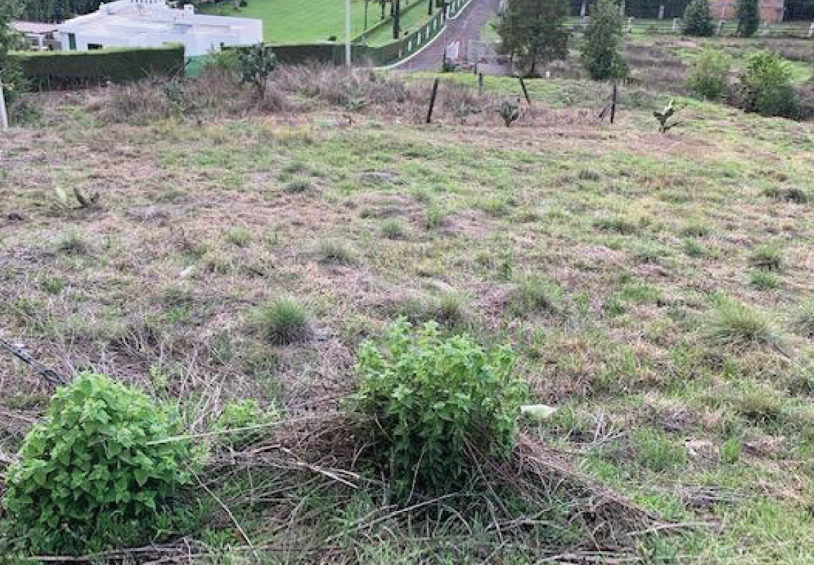 TERRENO CAMPESTRE EN VENTA EN RIO BELLO, MORELIA