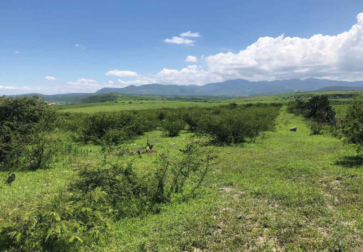 TERRENO EN VENTA EN SALIDA MIL CUMBRES, MORELIA