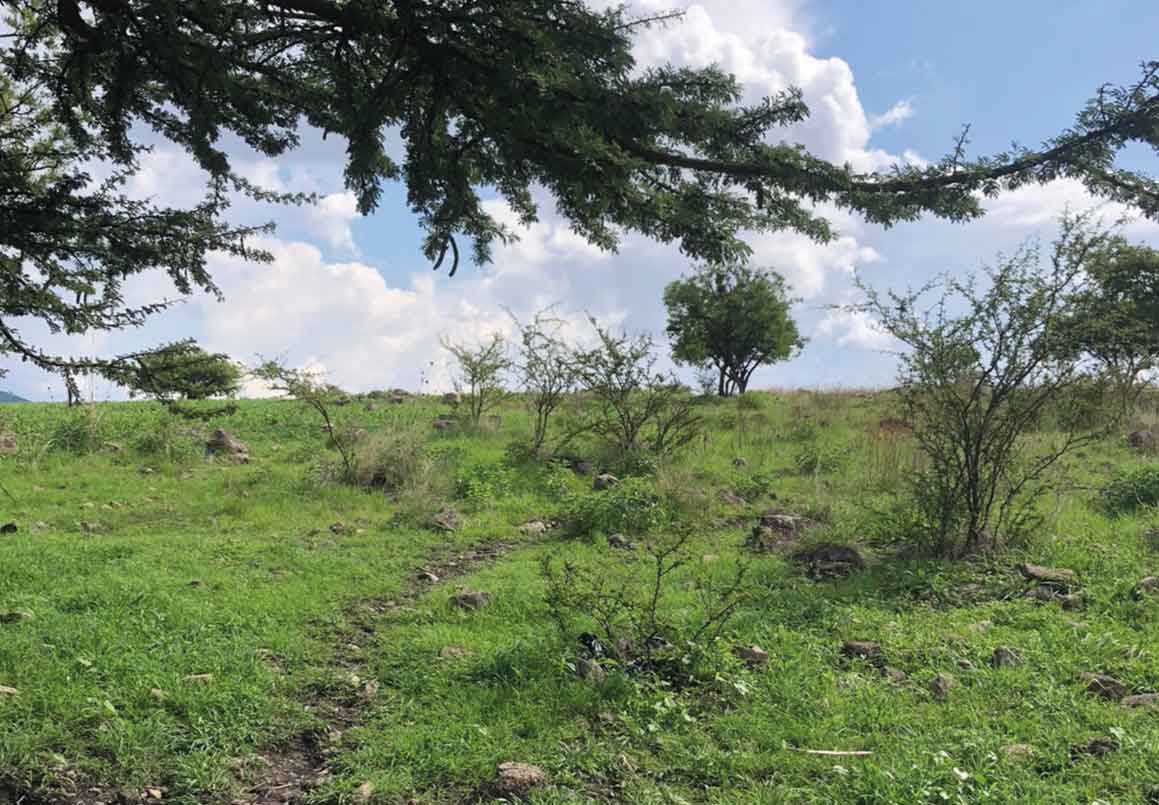 TERRENO EN VENTA EN SALIDA CHARO, MORELIA