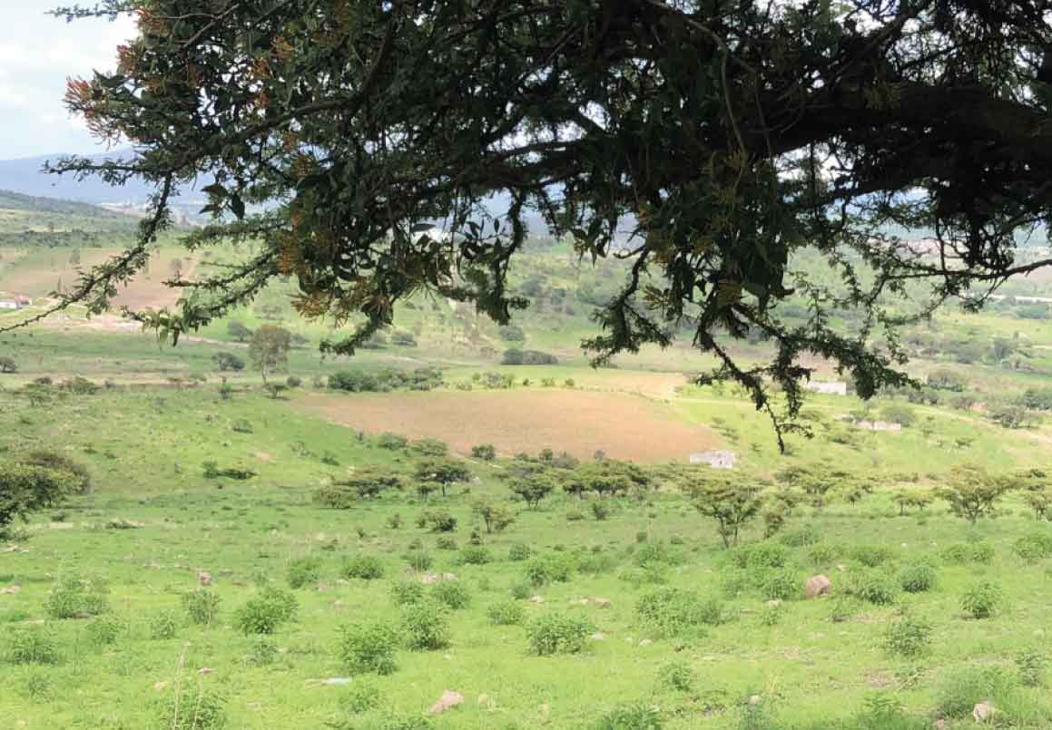 TERRENO EN VENTA EN SALIDA CHARO, MORELIA