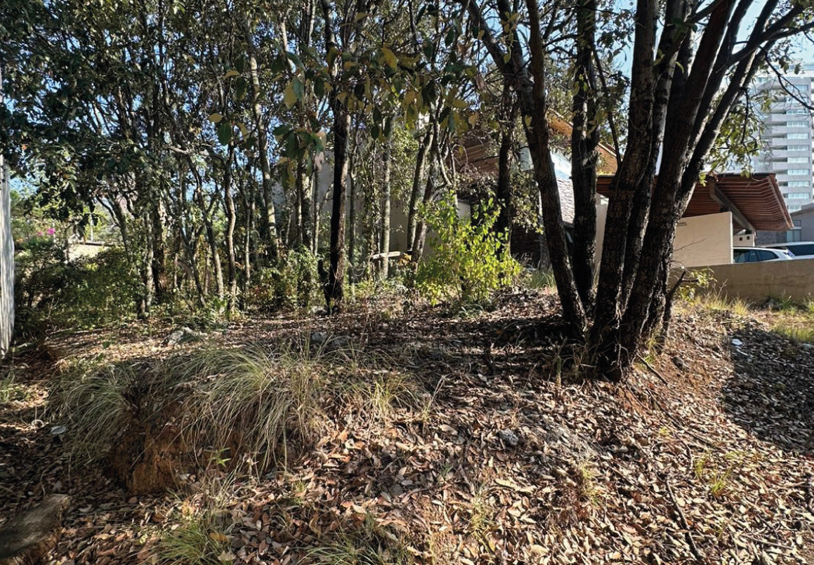TERRENO EN VENTA EN CLUB Y DENTRO DEL CAMPO DE GOLF ALTOZANO, MORELIA