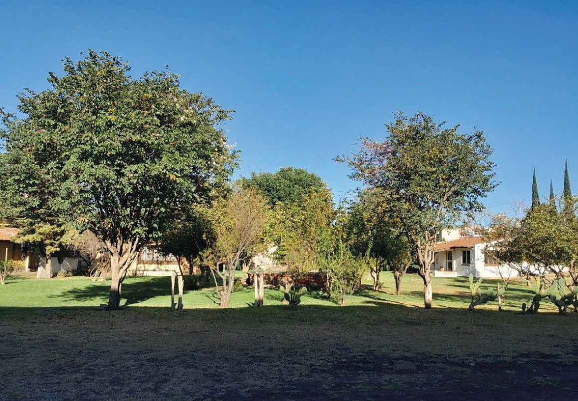 TERRENO URBANIZADO EN VENTA EN PERIFERICO REVOLUCION, MORELIA