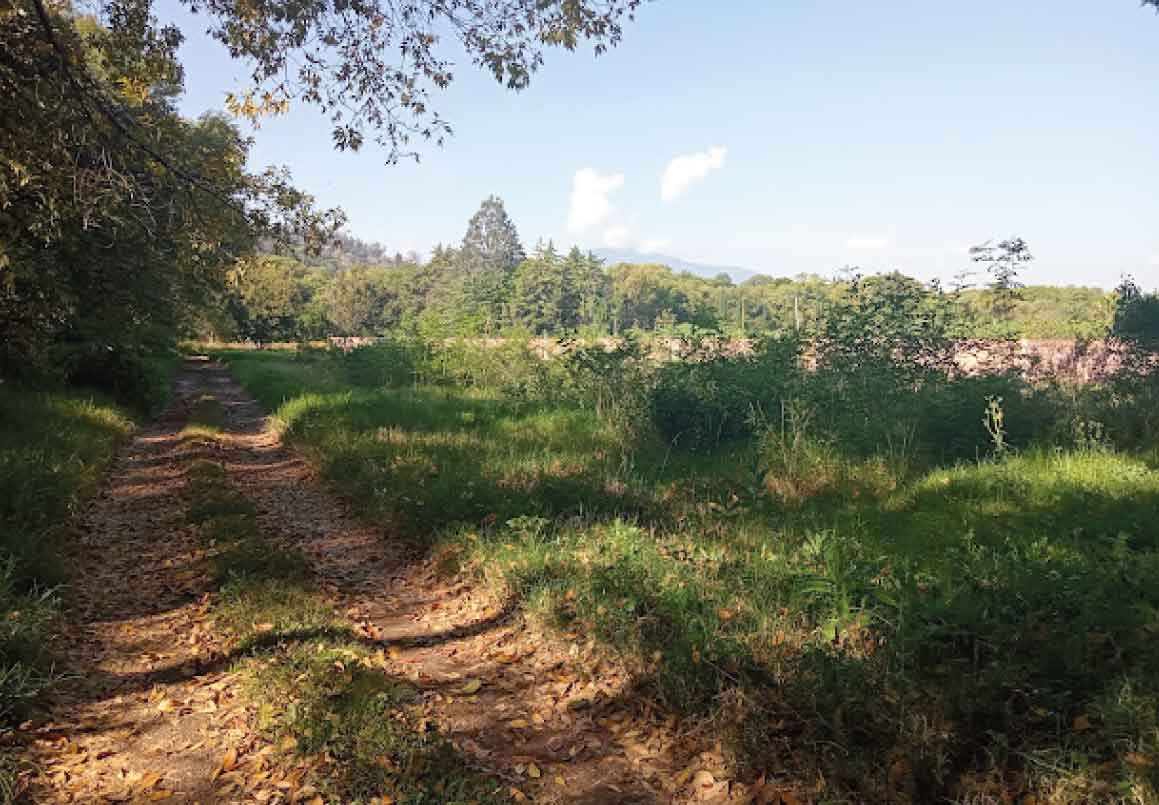 TERRENO EN VENTA EN LA CARRETERA MORELIA - COINTZIO