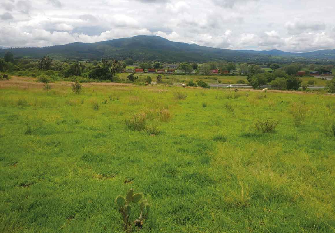 TERRENO EN VENTA SOBRE LA CARRETERA MORELIA - PATZCUARO