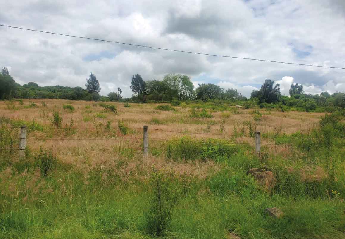 TERRENO EN VENTA SOBRE LA CARRETERA MORELIA - PATZCUARO