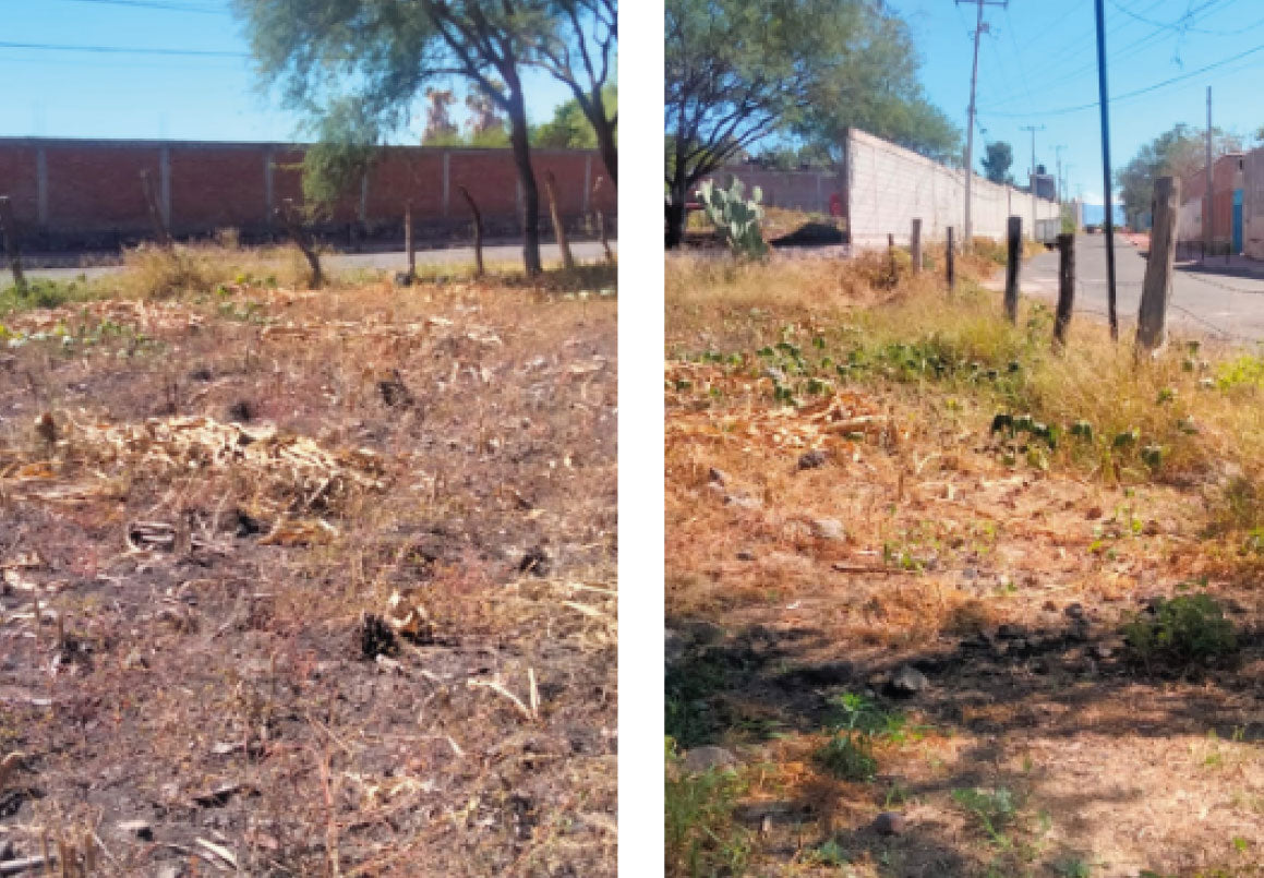 TERRENO EN VENTA EN CUITZEO, MICHOACAN