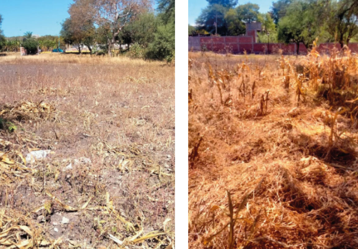 TERRENO EN VENTA EN CUITZEO, MICHOACAN