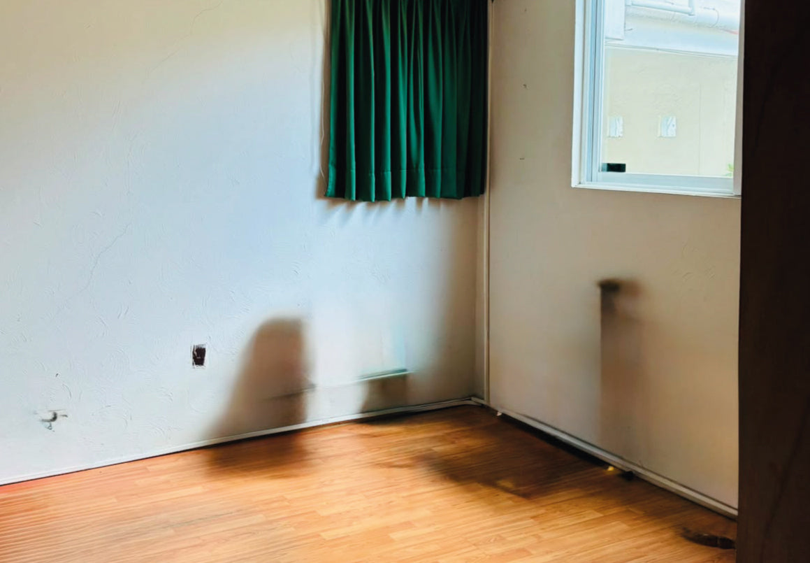 CASA EN VENTA EN COLONIA PINOS, MORELIA