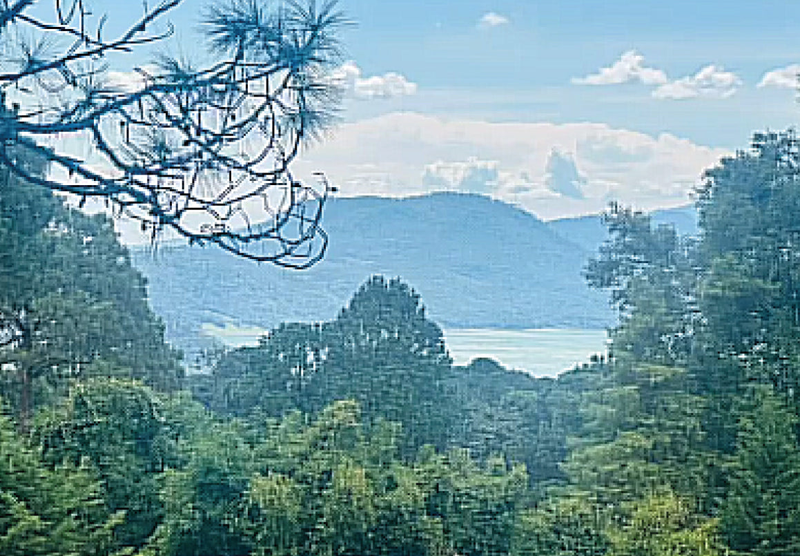 CASA EN VENTA EN VALLE DE BRAVO, ESTADO DE MEXICO