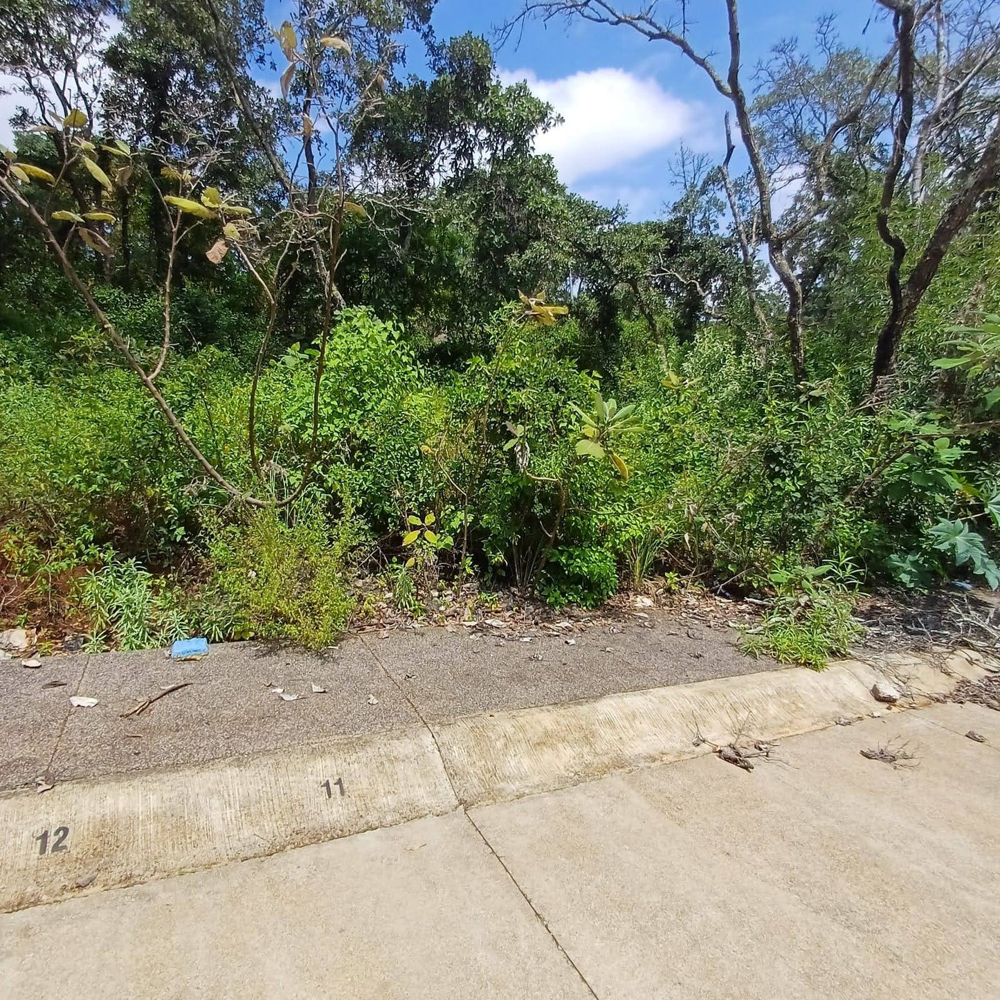 TERRENO EN VENTA EN JESUS DEL MONTE, MORELIA