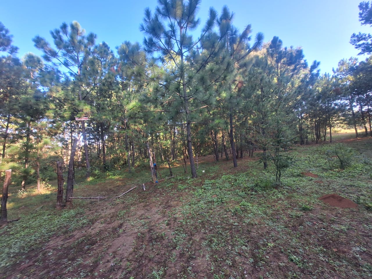 TERRENO EN VENTA EN SAN MIGUEL DEL MONTE, MORELIA