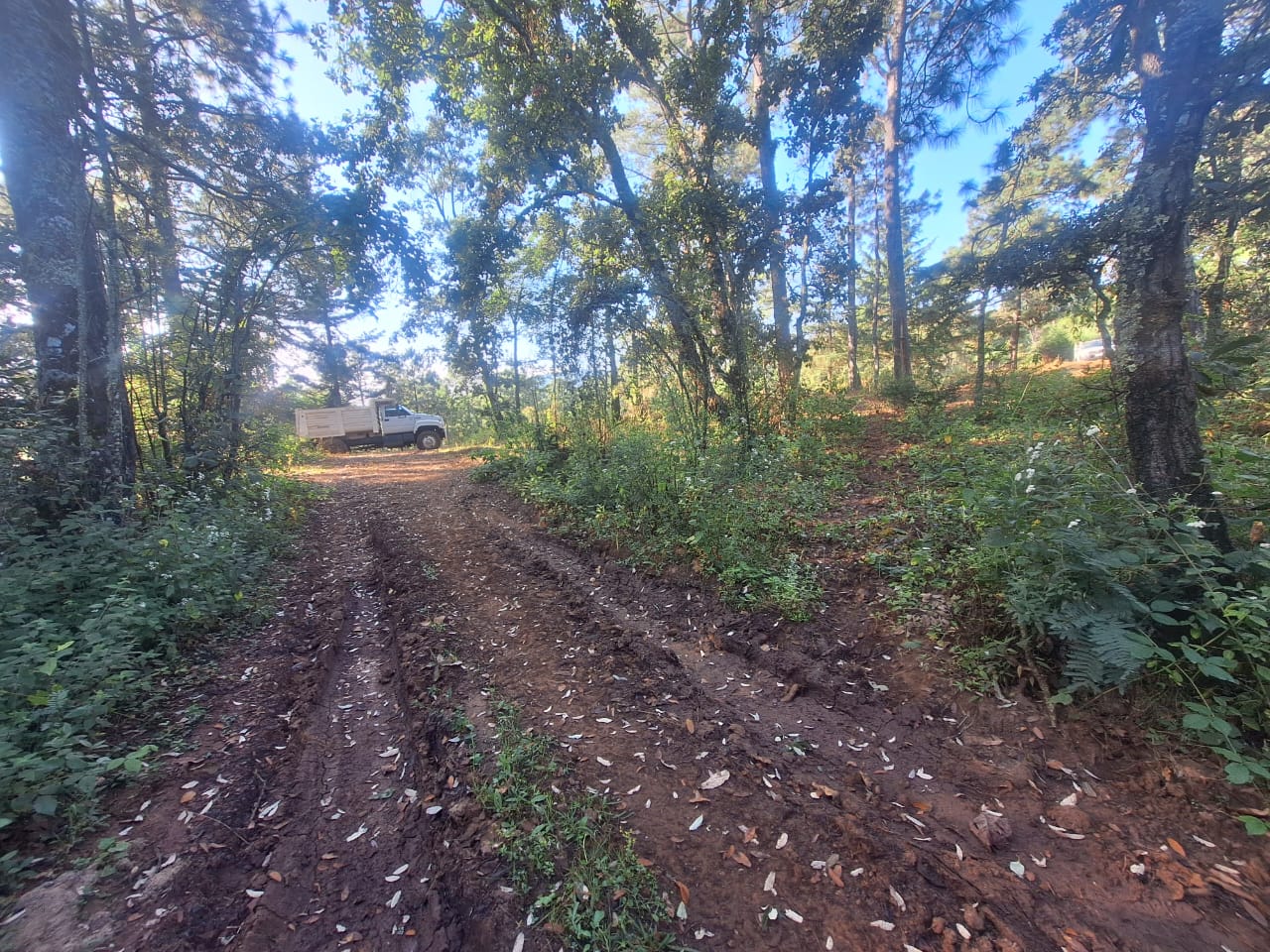 TERRENO EN VENTA EN SAN MIGUEL DEL MONTE, MORELIA