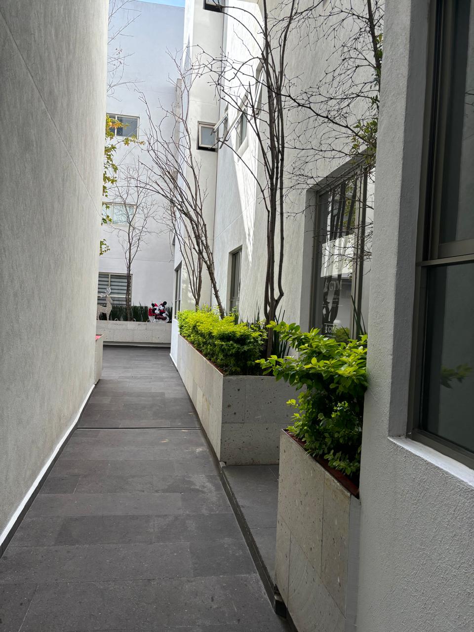 DEPARTAMENTO EN VENTA EN CHAPULTEPEC NORTE, MORELIA