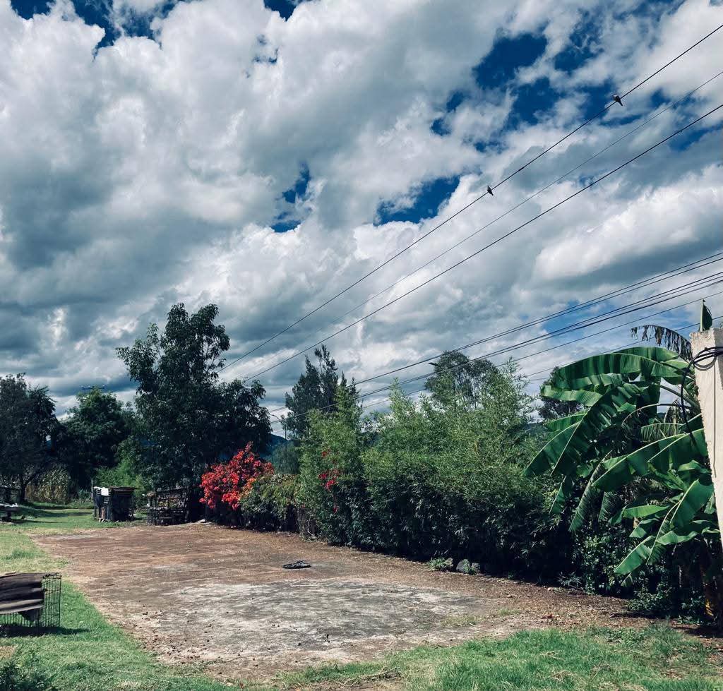 TERRENO CON CASA Y CABAÑAS EN VENTA EN TACICUARO, MICH