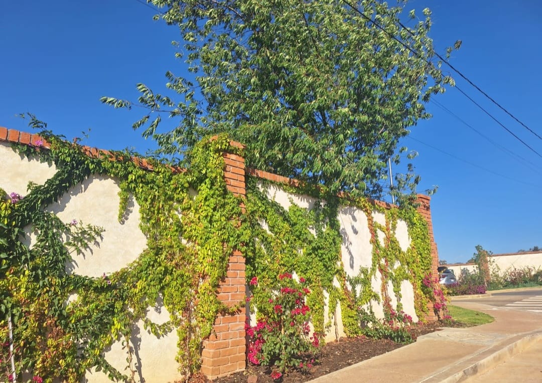 TERRENO EN VENTA EN JESUS DEL MONTE, MORELIA