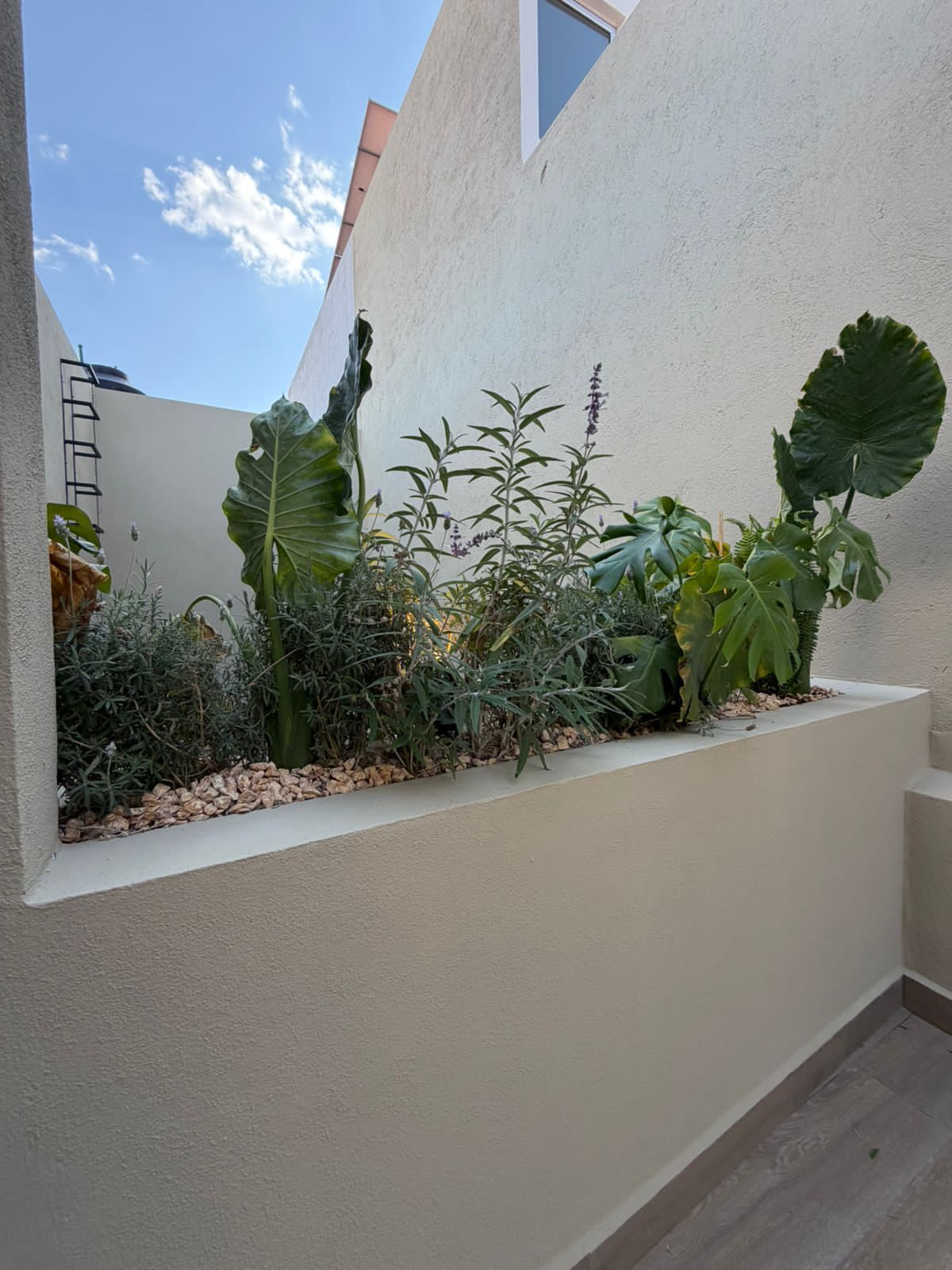 CASA CON LOCAL COMERCIAL EN VENTA EN CHAPULTEPEC SUR, MORELIA