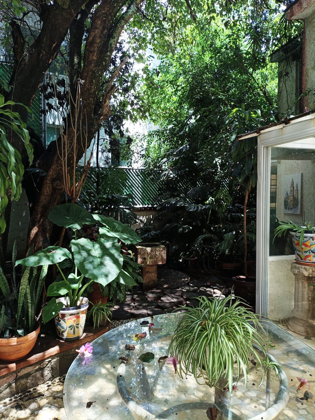 CASA EN VENTA EN VISTA BELLA, MORELIA