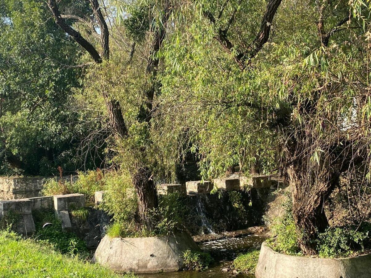 TERRENO EN VENTA EN PASEO DEL PARQUE TRES MARIAS, MORELIA