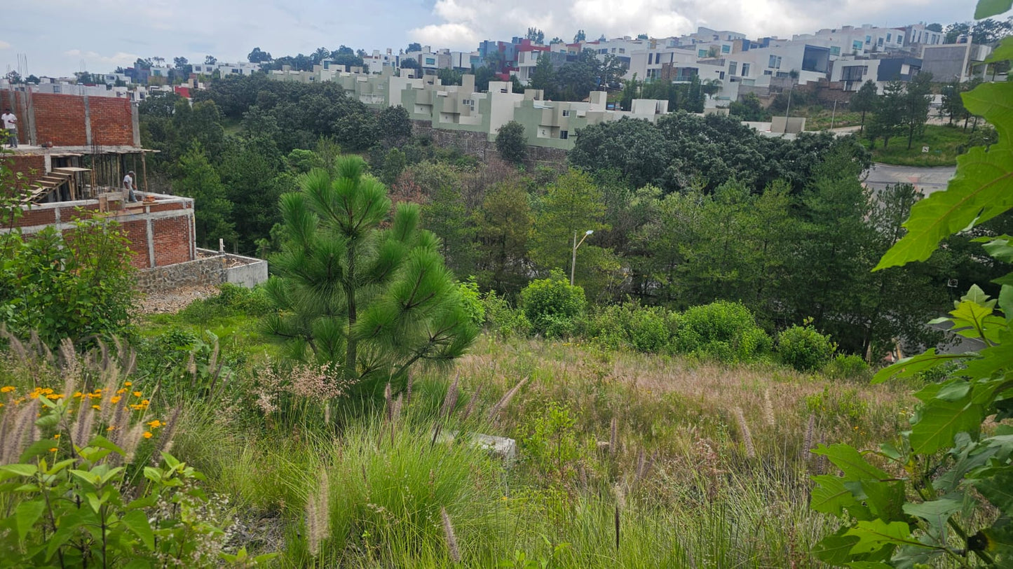 TERRENO EN VENTA EN BOSQUE MONARCA ALTOZANO, MORELIA